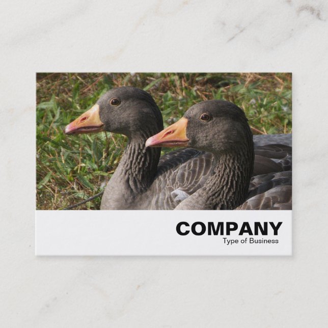 Greylag Geese Visitkort (Framsida)