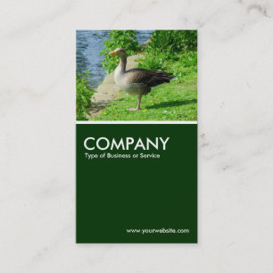 Greylag Goose - Mörk grönt Visitkort