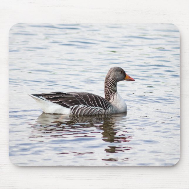 Greylag Goose Musmatta (Framsidan)