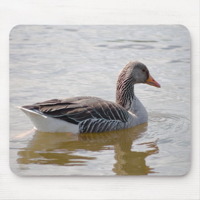 Greylag Goose Musmatta (Framsidan)
