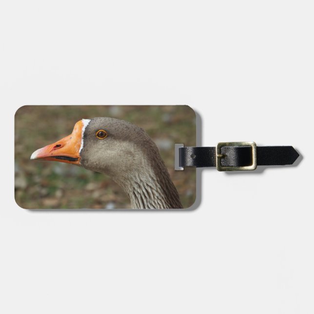 Greylag Svan Goose Kor Bagagebricka (Horisontell Framsida)