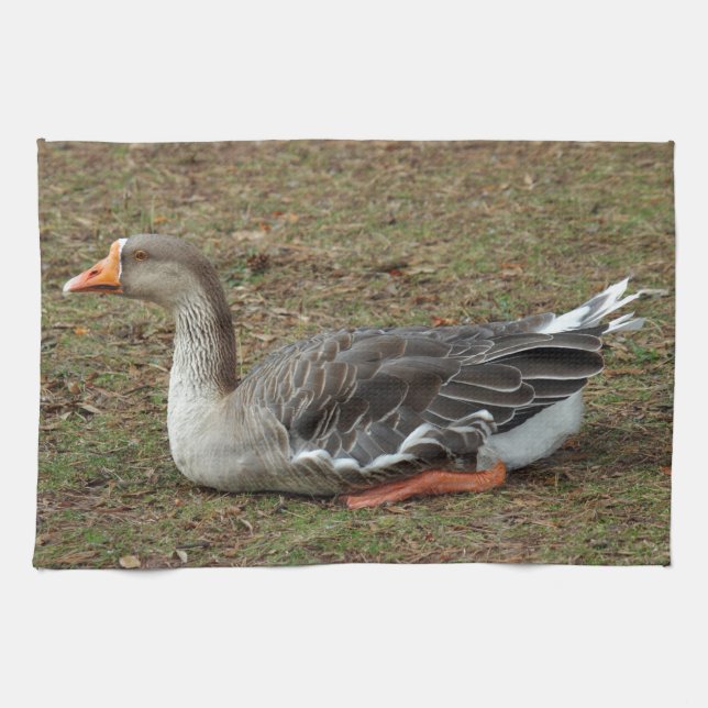 Greylag Svan Goose Kor Kökshandduk (Horisontell)