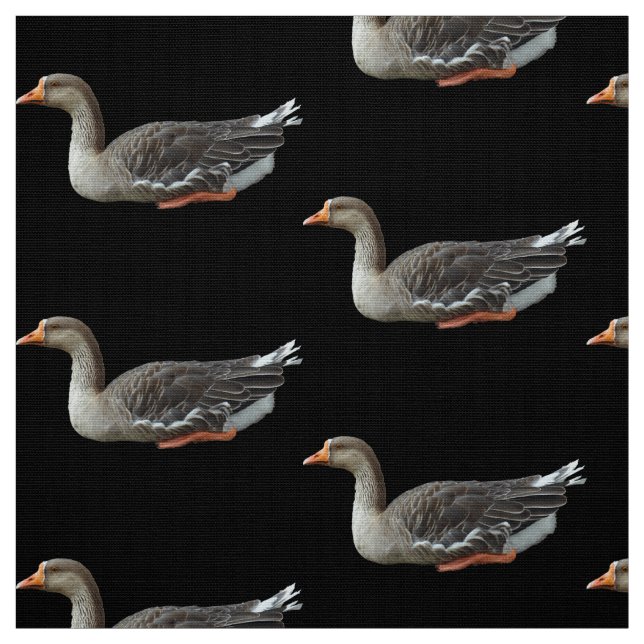 Greylag Svan Goose Kor Tyg (Provkarta)