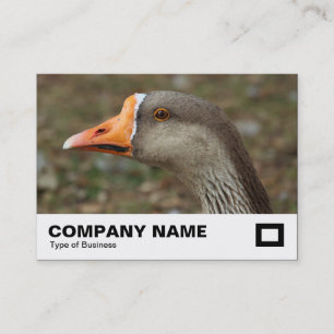 Greylag Svan Goose Kor Visitkort