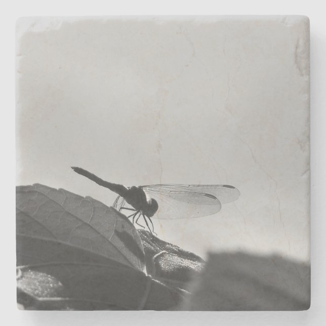 Greyscale Dragonfly på stenen Underlägg (Framsidan)