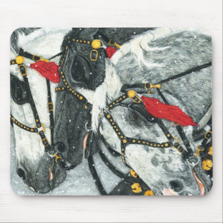 Greysna - den Percheron lagmusen vadderar Musmatta