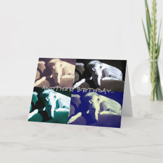 Greyt-födelsedag Kort