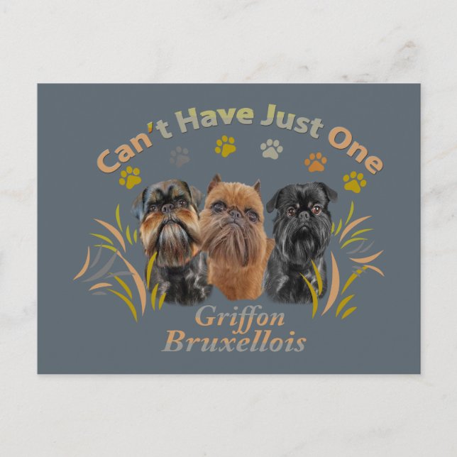 Griffon Brussels kan inte ha bara en Vykort (Framsida)