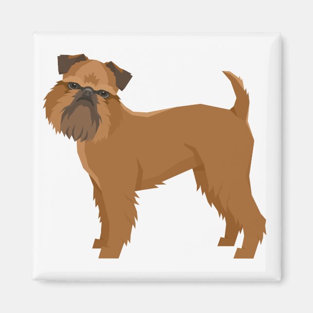 Griffon Bruxellois Magnet (Framsidan)