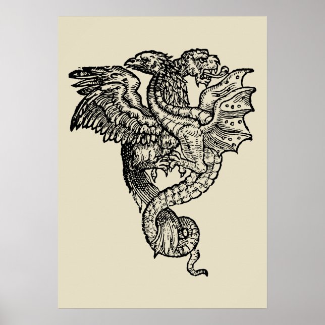 Griffon & Dragon Poster (Framsidan)