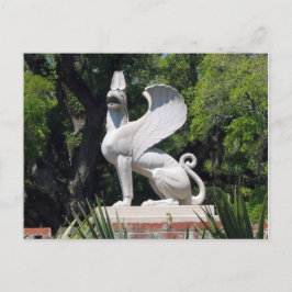 Griffon POSTCARD Vykort