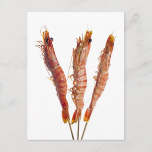 Grillad tigerräka på en skevare vykort