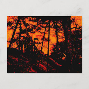 Grim Reaper in Scary Orange Lit Forest Vykort
