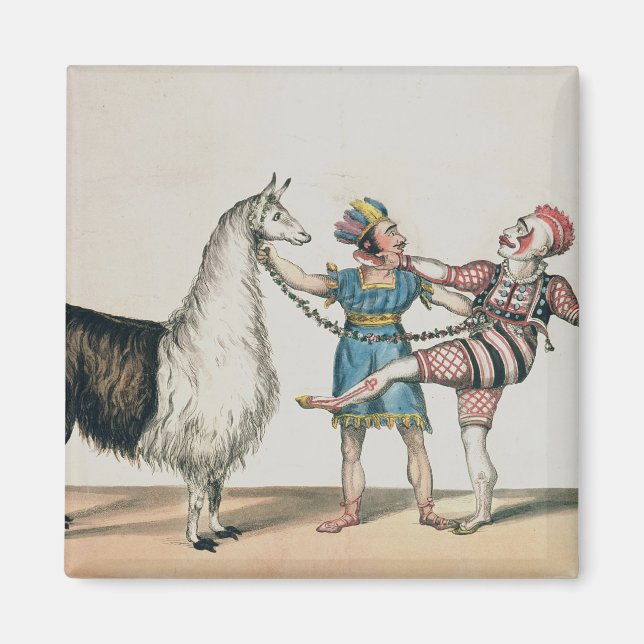 Grimaldi och Alpaca, i Popular Pantomime Magnet (Framsidan)