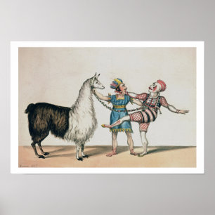 Grimaldi och alpacaen, i den populära pantomimmet poster
