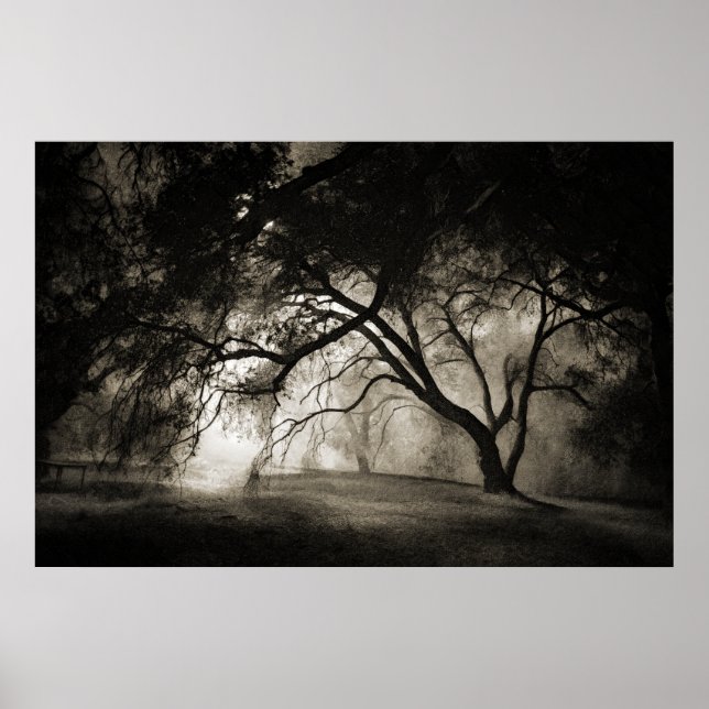 GRIMM:S SKOGSPoster Poster (Framsidan)