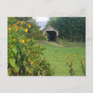 Grind Farm Covered Bridge Sunblommor Cambridge VT Vykort
