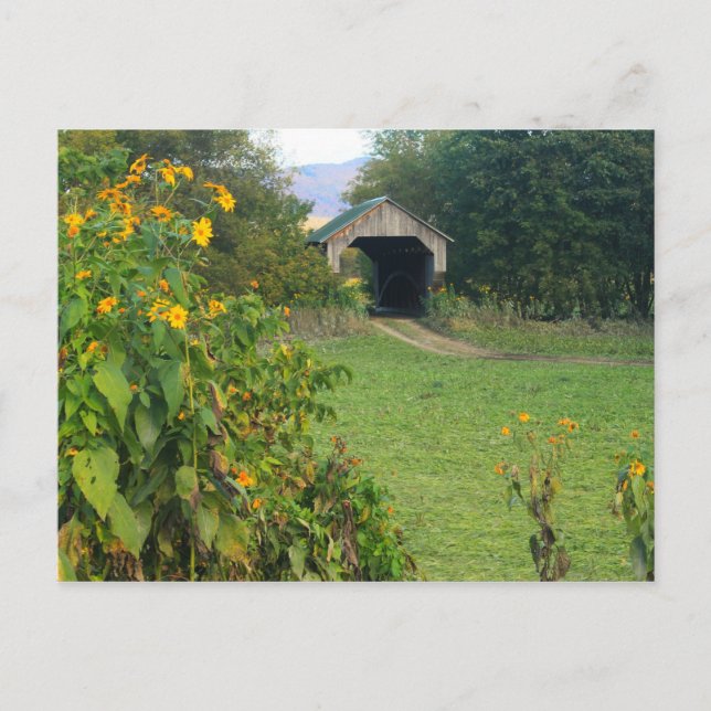 Grind Farm Covered Bridge Sunblommor Cambridge VT Vykort (Framsida)