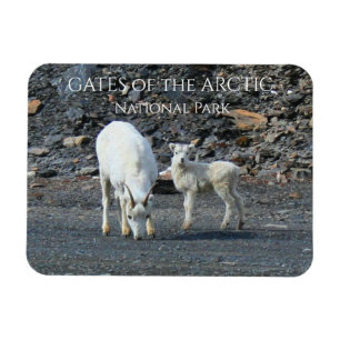 Grind i Arktis nationalpark Magnet
