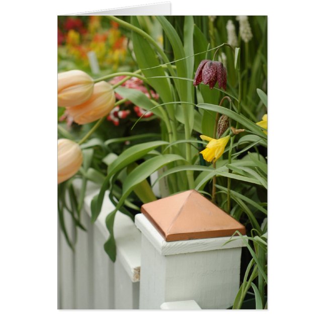 Grind på blomsterkortet hälsningskort (Framsidan)