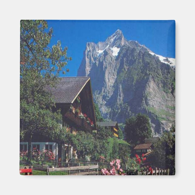 Grindelwald, regionen Jungfrau Magnet (Framsidan)
