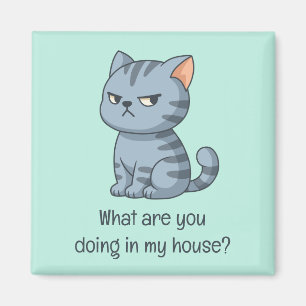 Grinig Grå Tabby Katt Rolig Text Grön Magnet