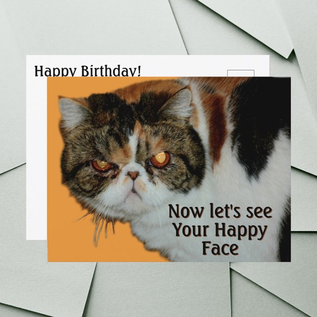 Grinig Grumpy Cat Exotisk Korthår Perser Vykort (Skapare uppladdad)