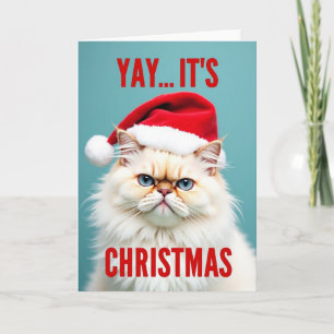 Grinig jultomte katt jul kort