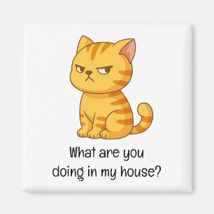 Grinig orange tabby katt Rolig text Magnet