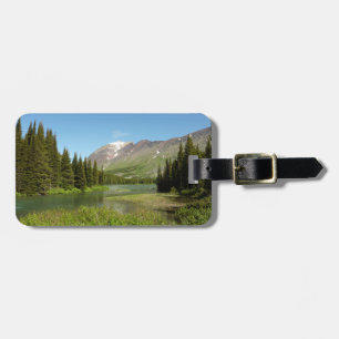 Grinnell Creek i Glacier National Park Bagagebricka