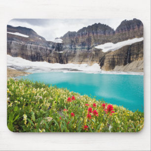 Grinnell glaciär musmatta