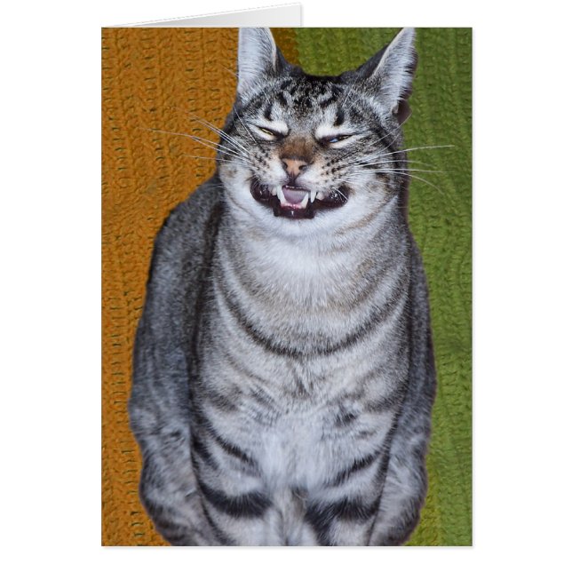 Grinning Cat Card Hälsningskort (Framsidan)
