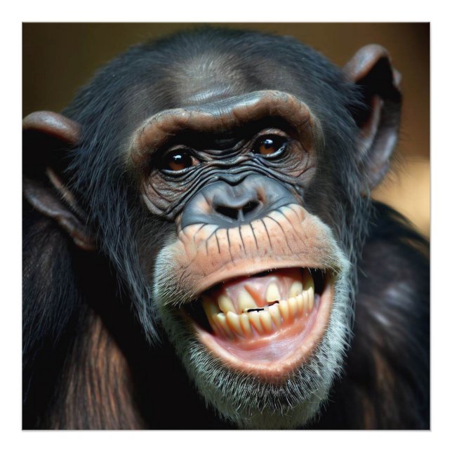 Grinning Chimpanzee Fototryck (Framsidan)