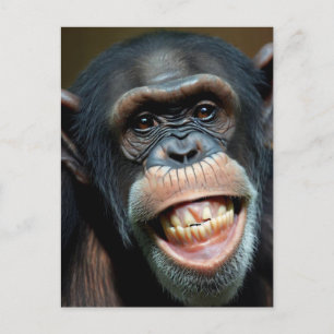 Grinning Chimpanzee Vykort