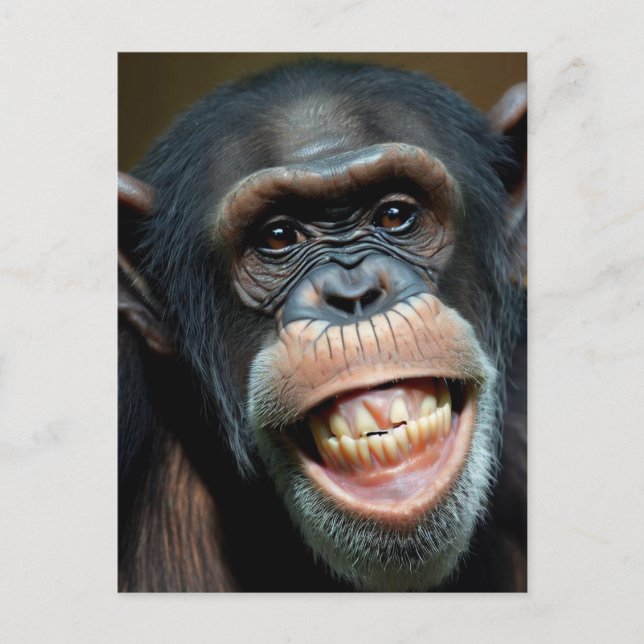 Grinning Chimpanzee Vykort (Framsida)