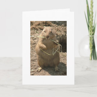 Grinning Groundhog-hälsningskort Kort