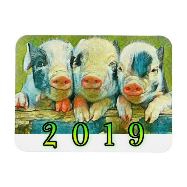 gris 2019 magnet (Horisontell)
