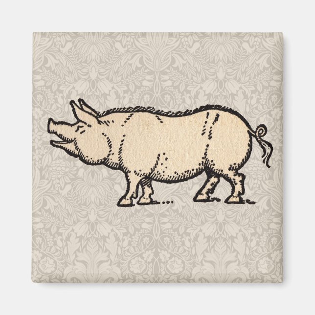 Gris Antique Piggy Cute Vintage Illustration Magnet (Framsidan)