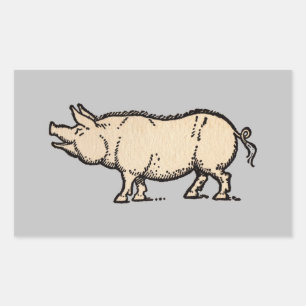 Gris Antique Piggy Cute Vintage Illustration Rektangulärt Klistermärke