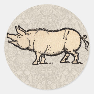 Gris Antique Piggy Cute Vintage Illustration Runt Klistermärke