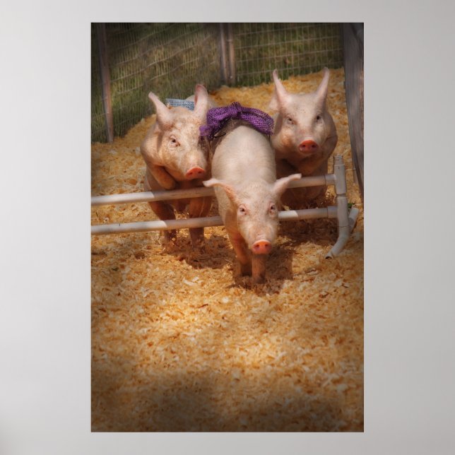 Gris - Att komma förbi hinder Poster (Framsidan)