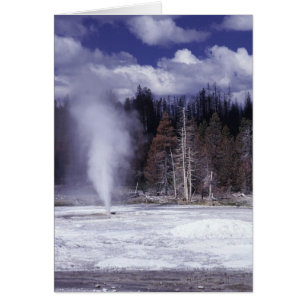 Gris Chop Geyser, nationalparken Yellowstone Hälsningskort