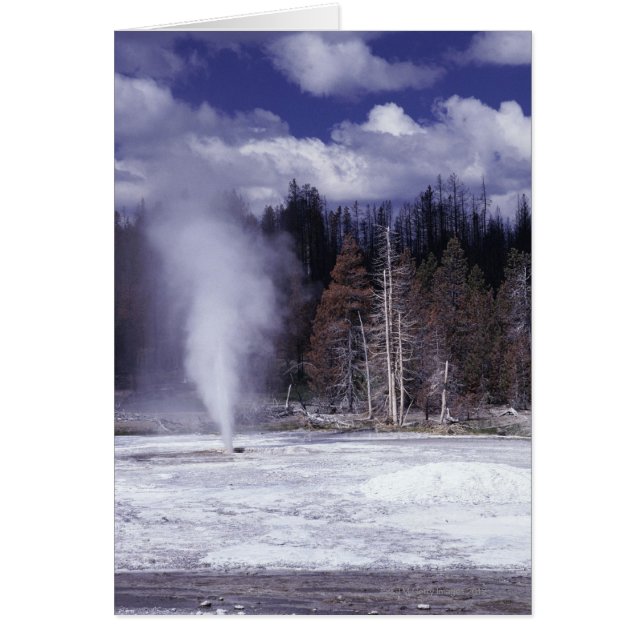Gris Chop Geyser, nationalparken Yellowstone Hälsningskort (Framsidan)