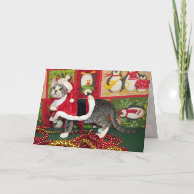 Gris Chop som Santa Klo - Katt/juljul Helgkort (Framsida)