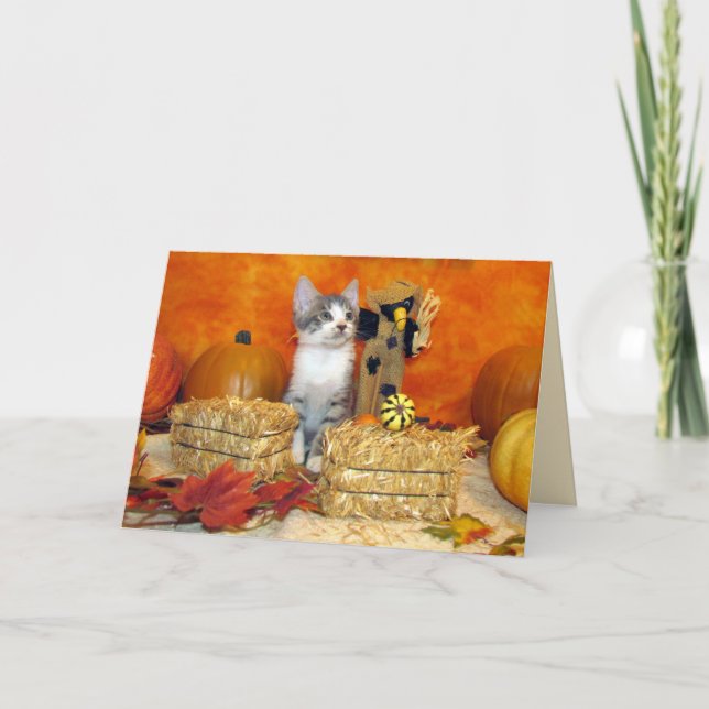 Gris Chop-Thanksgivingen - Cute Cat Helgkort (Framsida)