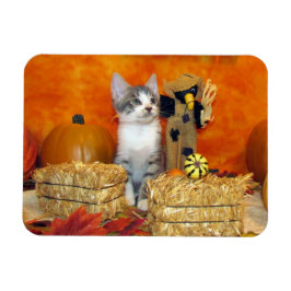 Gris Chop's Adsible Fall / Autumn Cat / Kitten Magnet