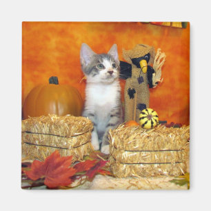 Gris Chop's Fall Magnet - Cat / Kitten