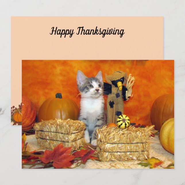 Gris Chop's Fall / Thanksgiving - Cute Cat Card (Fram/baksida)