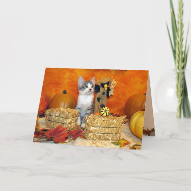 Gris Chop's Fall / Thanksgiving - Cute Cat Card Helgkort (Framsida)