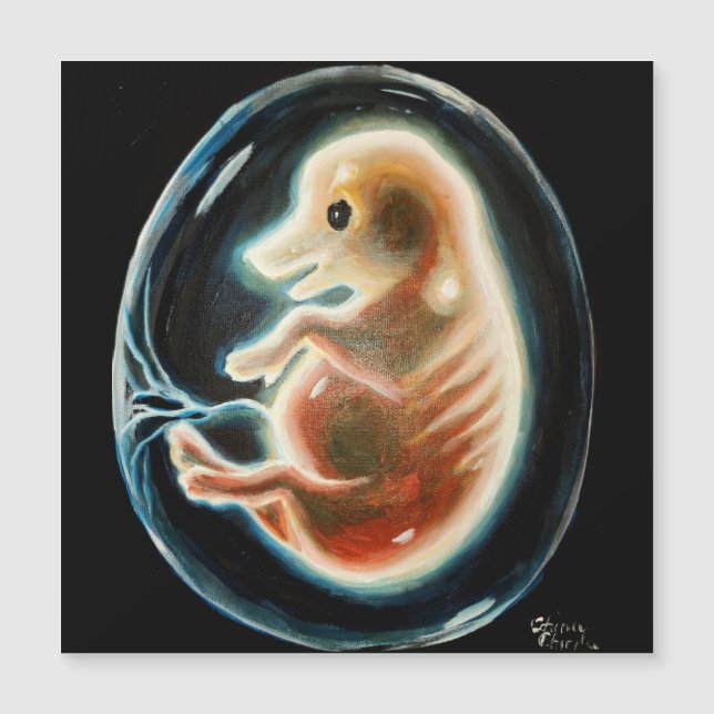 Gris embryo (Framsida)